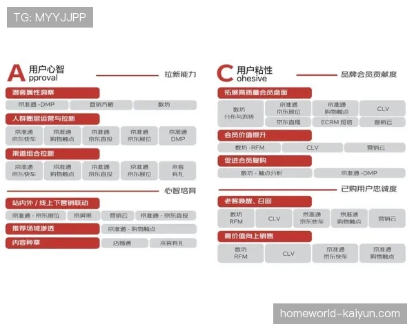 动态广告插入技术根据用户画像实现精准投放 提升营销效率